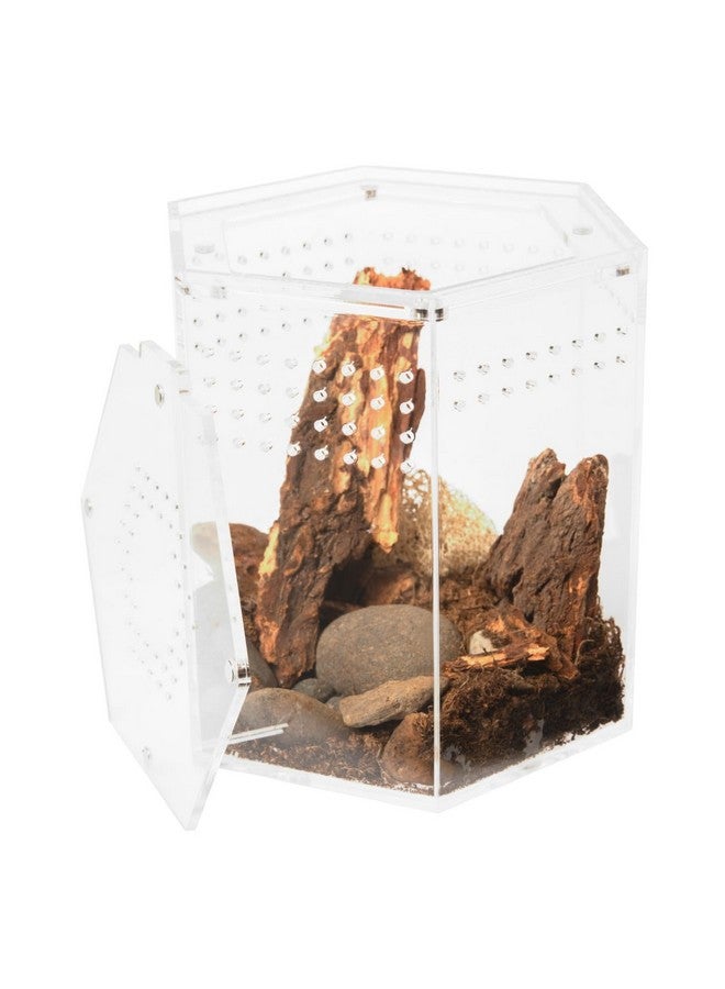 Generic Acrylic Tarantula Enclosure T-Hex, 5.79 x 5.39 x 5.39 Plant Greenhouse, Small Tree Plant Dwelling Reptiles, Jumping Spider Cage, Reptiles  - Image 1