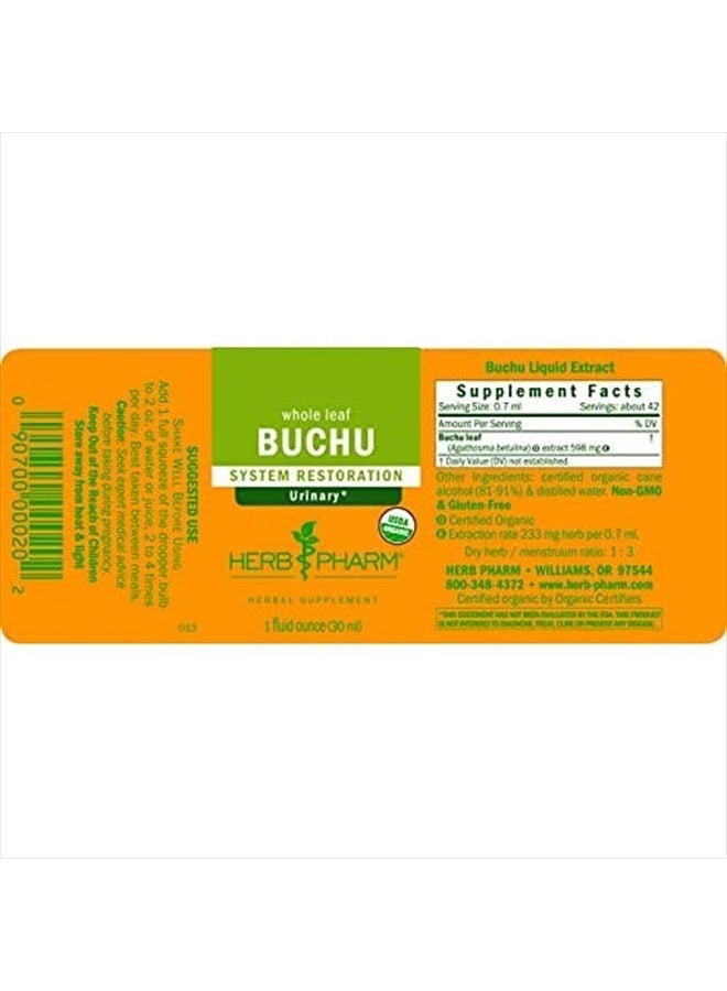 HERB PHARM Certified Organic Buchu Liquid Extract for Urinary System Support - 4 Ounce - Image 2