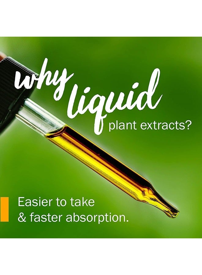 HERB PHARM Certified Organic Buchu Liquid Extract for Urinary System Support - 4 Ounce - Image 3