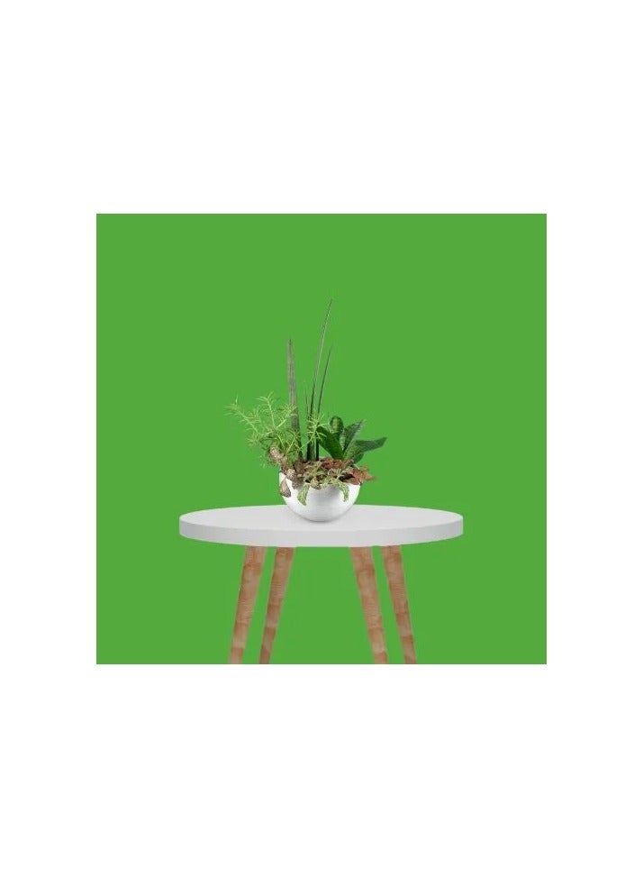 PROMAGE PAPER BACKGROUND STINGER PM PB54 2.72m x 11m Green Photography Backdrop Seamless Studio Background for Photo Video Shooting Professional Paper Roll Durable Non Reflective - Image 2