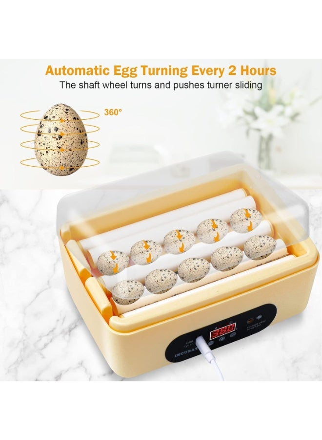 Neo Classic 6 Egg aAutomatic Mini Digital Egg Incubator Hatcher Eggs Hatching Machine - Image 5