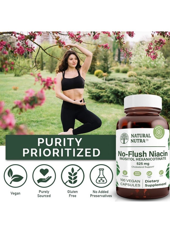 Natural Nutra No Flush Niacin Vitamin B3 Supplement Inositol Hex Nicotinate Niacinate Triglyceride Levels Skin Formation Maintain Diabetes 525 Mg 100 Capsules  - Image 5