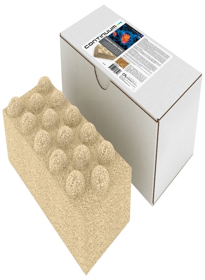 Continuum Aquatics Exxodus Nitryx Brick - Porous Filtration Media for Nitrate Removal in Marine Saltwater and Freshwater Aquariums - Image 1