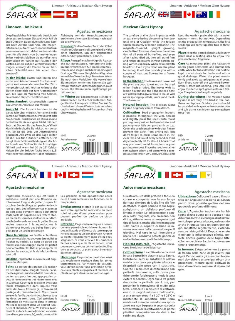 GGOOT Gift Set - Mexican Giant Hyssop - 50 Seeds - Agastache Mexicana - Image 3