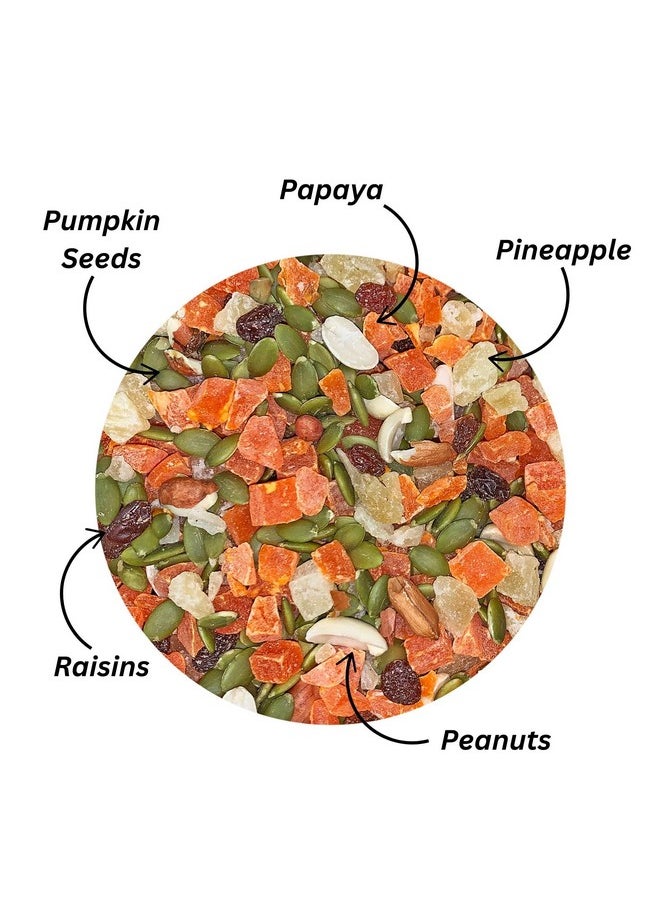 EXOTIC NUTRITION Fruit & Nut Mix - Healthy & Unique Mixed Nuts & Dried Fruit Treat - Sugar Gliders, Squirrels, Marmosets, Parrots, Birds, Rats, Rabbits, Guinea Pigs, Hamsters, Chinchillas & Other Small Pets… (8 oz)  - Image 2