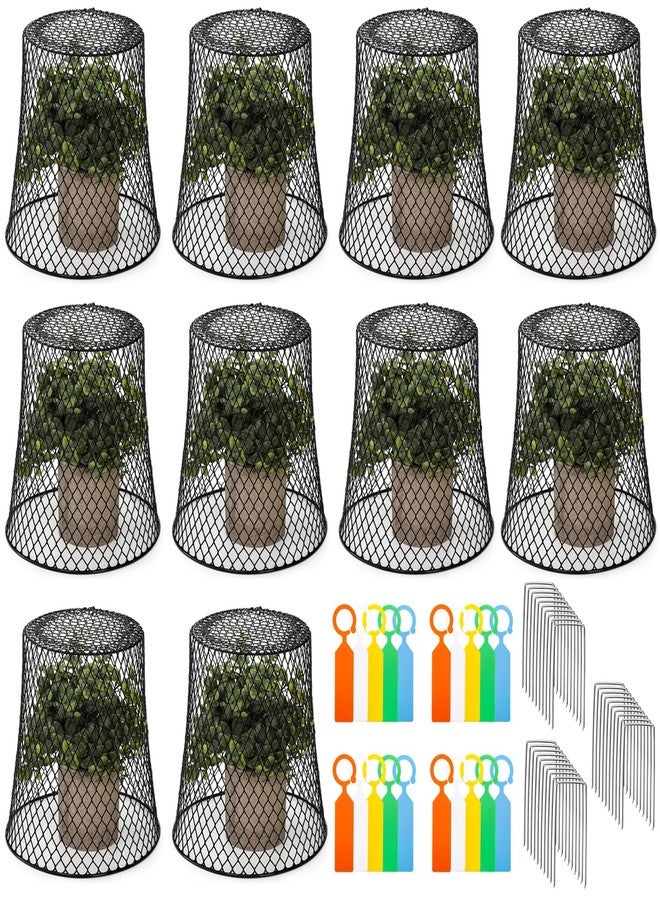 SOUJOY 10 Pieces Chicken Wire Plant Covers, Garden Cloche with 30 Garden Stakes and 20 Waterproof Labels, Metal Cage Protector Basket for Keeping Bunnies Chicken Squirrels Birds Out - Image 1