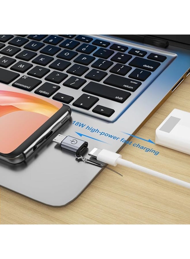 Haing Micro Usb To Type C Adapter Lighting adapter, plug, to Micro plug adapter (HI-2033-MCD) - Image 2