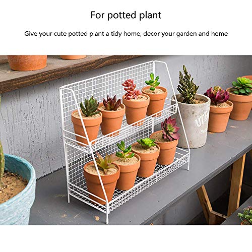 INDIAN DECOR White 2-Tier Metal Wire Basket Storage Organiser Rack for Kitchenware, Bathroom Cans, Foods Spice, Office - Image 3