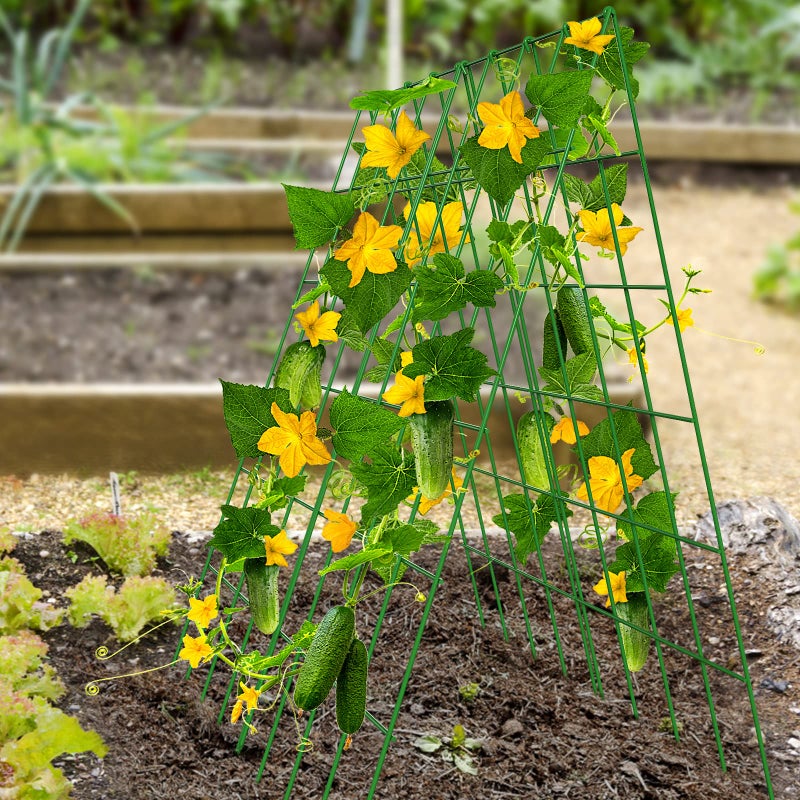 DoCred Cucumber Trellis, 2 Pack Foldable A Frame Trellis for Raised Bed Climbing Plants, Vegetables, Includes Plant Support Clips, Twist Ties, Plastic Ties- Made from PVC-Coated Steel - Image 2