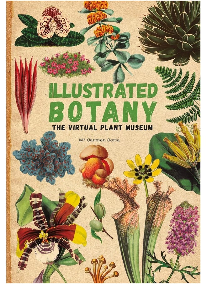 null - Illustrated Botany: The Virtual Plant Museum - Image 1