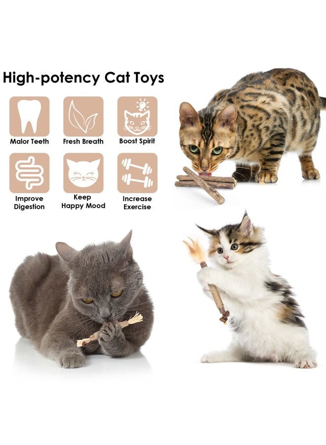 Bissap 10 Silvervine Chew Sticks for Cats, Catnip Chew Sticks, Indoor Cat Toys, Kitten Teeth, Refine, Feather Interactive Toys for M - Image 2