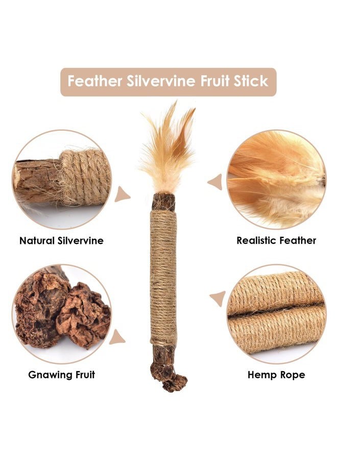 Bissap 10 Silvervine Chew Sticks for Cats, Catnip Chew Sticks, Indoor Cat Toys, Kitten Teeth, Refine, Feather Interactive Toys for M - Image 4