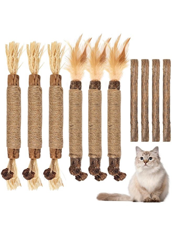 Bissap 10 Silvervine Chew Sticks for Cats, Catnip Chew Sticks, Indoor Cat Toys, Kitten Teeth, Refine, Feather Interactive Toys for M - Image 1