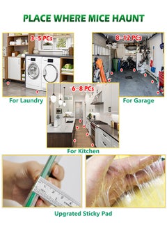 Arabest 6Pcs Mouse Rat Strong Adhesive Sticky Glue Traps Powerful Non-Toxic Easy To Set Disposable Mice Catcher Pad  - Image 4