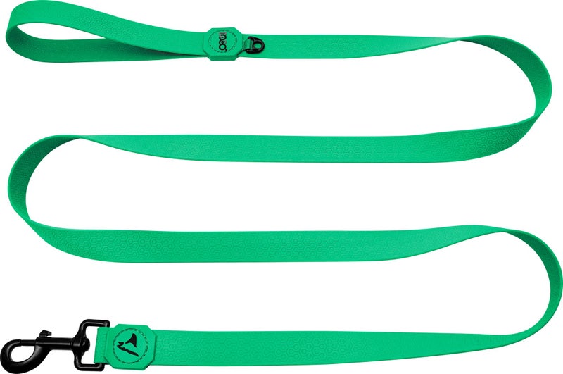 DOCO Jelly Bean Leash 5FT Large — Mint Green