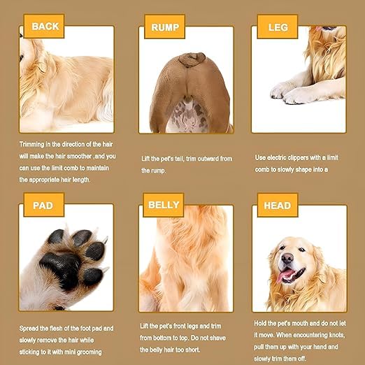 ARYAVART Pet Grooming Kit - Image 4