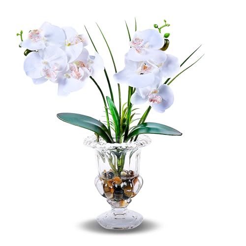 Jusdreen Artificial Orchid Centerpiece with Glass Vase, 14.5 Inch Lifelike Phalaenopsis Bonsai for Home Office Table Decor, White Orchid Arrangement with Potting - Image 1