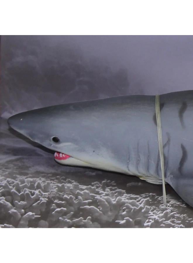 The Sea World Model Series – Shark Figurine - Image 3