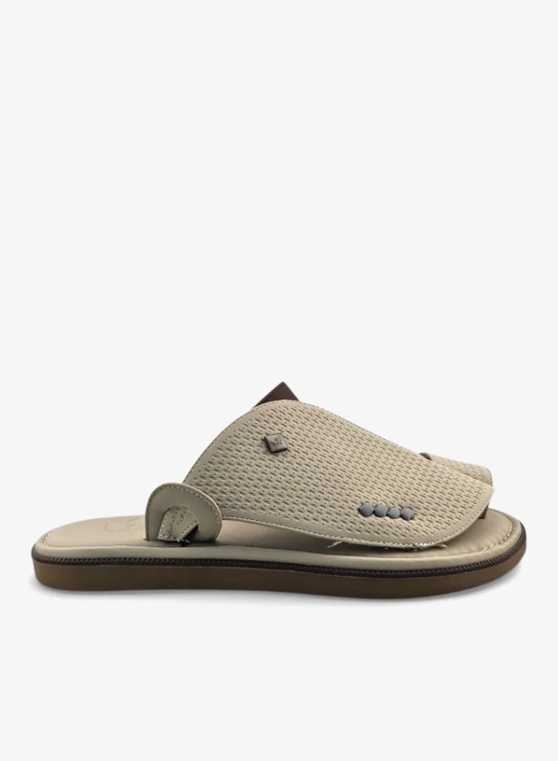 الفانوس الفانوس: سيغنتشر رويال