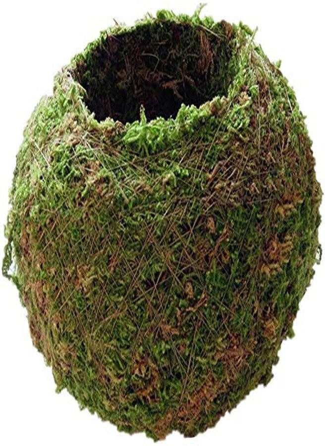 FRECI Moss Ball Flower Pot Natural Planter Bonsai Plant Holder Bird Nest for DIY Gardening Home Table Decoration - 18cm - Image 4