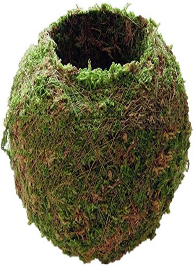 FRECI Moss Ball Flower Pot Natural Planter Bonsai Plant Holder Bird Nest for DIY Gardening Home Table Decoration - 18cm - Image 1