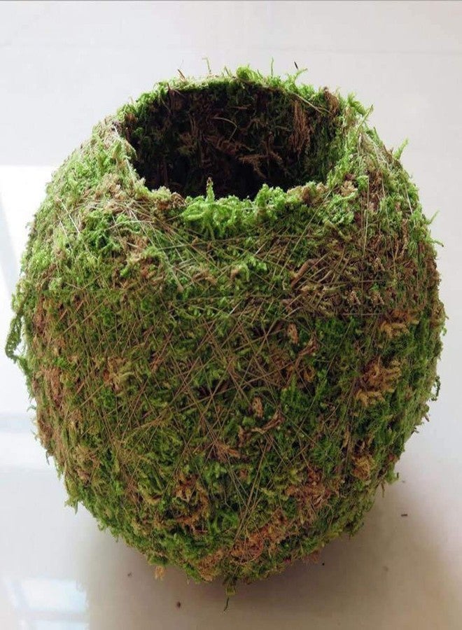 FRECI Moss Ball Flower Pot Natural Planter Bonsai Plant Holder Bird Nest for DIY Gardening Home Table Decoration - 18cm - Image 3