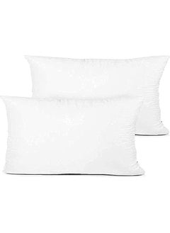 Somerfield Somer Field - 2-Piece Hypoallergenic Down Substitute Polyester Square Pillow Core 30X50 Cm - Best Buy Fluffy Cushions  - Image 1