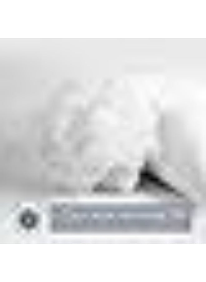 Somerfield - Somer Field - 2-Piece Hypoallergenic Down Substitute Polyester Square Pillow Core 30X50 Cm - Best Buy Fluffy Cushions - Image 1