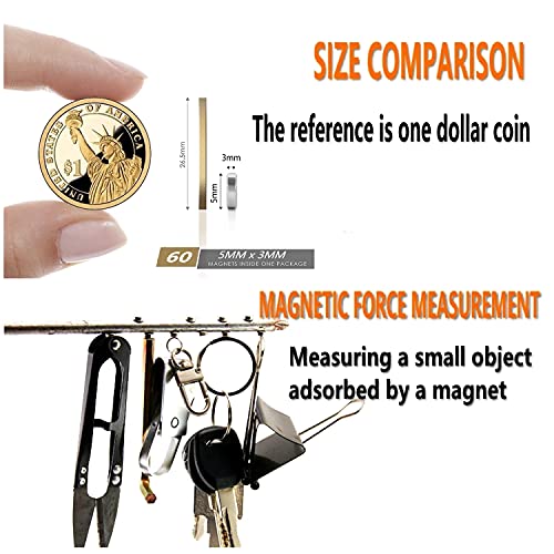 Linlinzz 60pcs Small Magnets,Round for Refrigerator , Cylinder, Fridge , Office , Whiteboard , Durable Little Miniature Tiny Mini for Crafts - Image 2