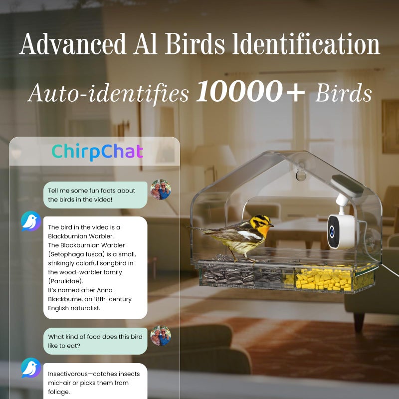 Richbird Smart Window Bird Feeder Camera with AI, Modern Design for Panoramic Views, 2K HD Live Feed, USB Powered & Secure Suction Mount - The Ultimate Tech Gift (Clear) - Image 4