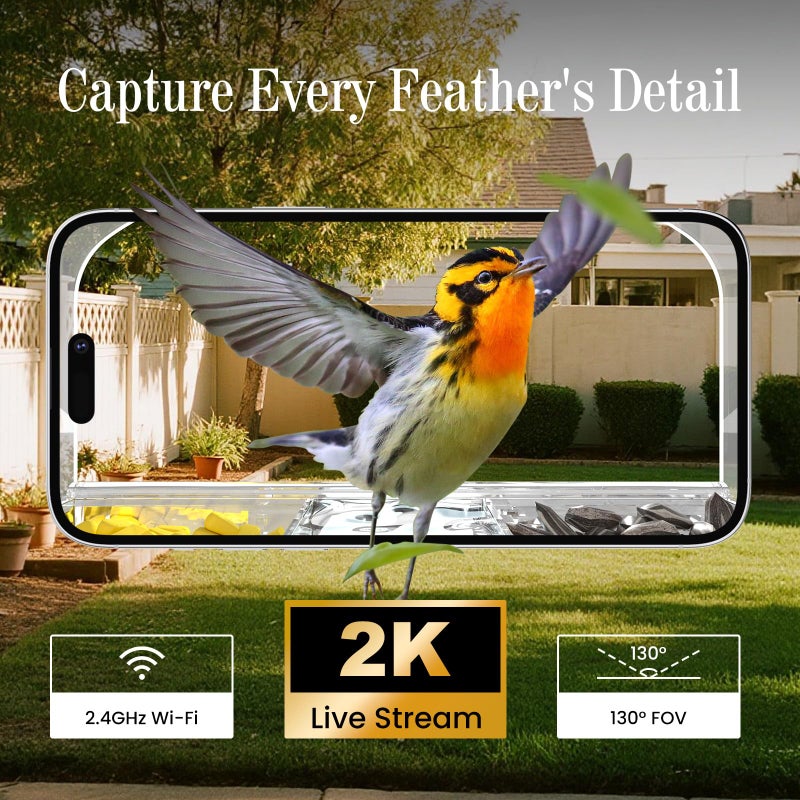 Richbird Smart Window Bird Feeder Camera with AI, Modern Design for Panoramic Views, 2K HD Live Feed, USB Powered & Secure Suction Mount - The Ultimate Tech Gift (Clear) - Image 5