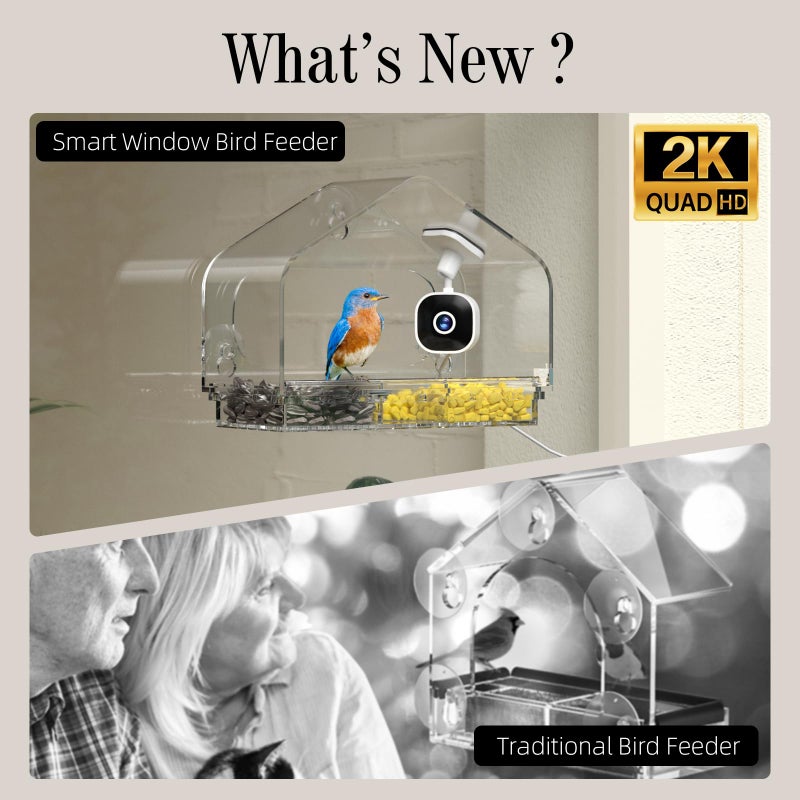 Richbird Smart Window Bird Feeder Camera with AI, Modern Design for Panoramic Views, 2K HD Live Feed, USB Powered & Secure Suction Mount - The Ultimate Tech Gift (Clear) - Image 2