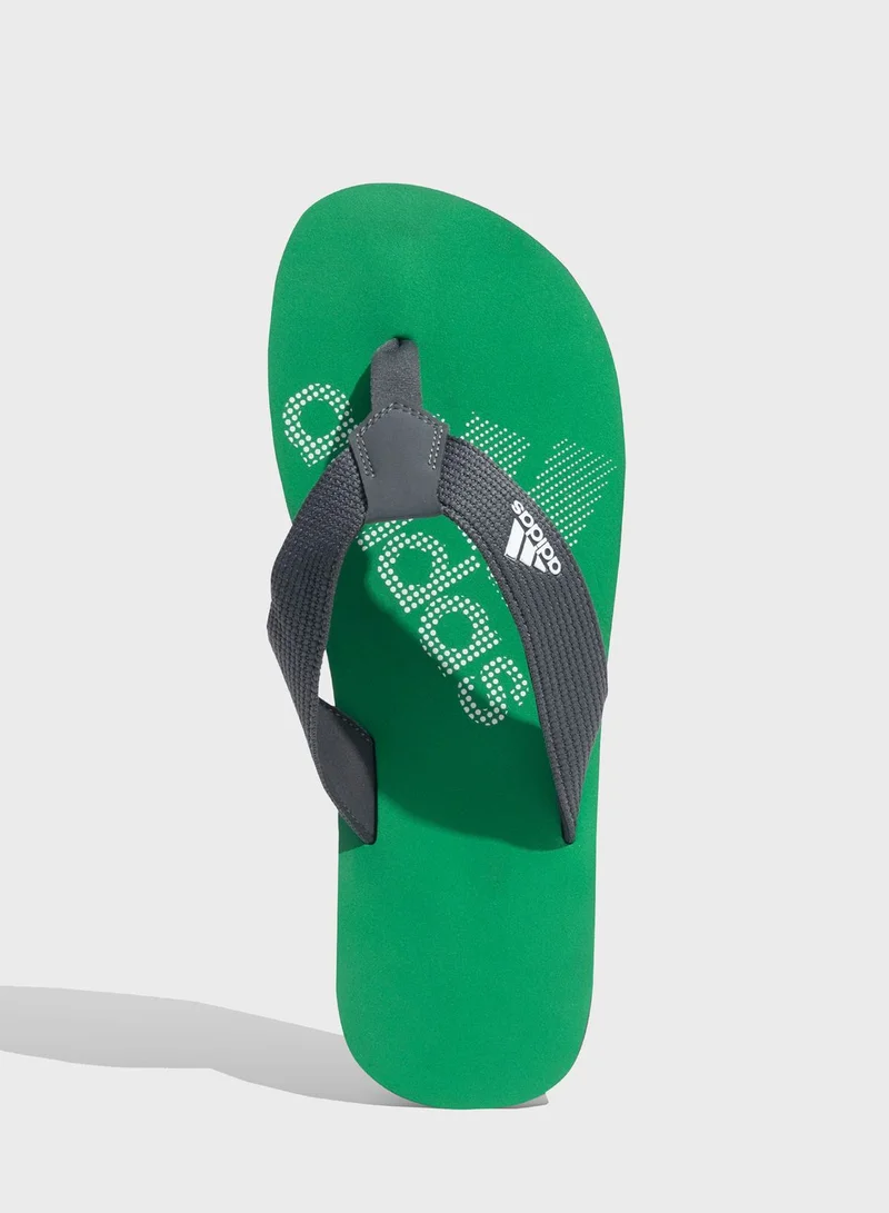Adidas Zenith