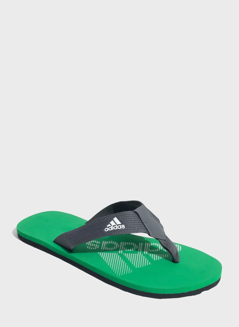 Adidas Zenith