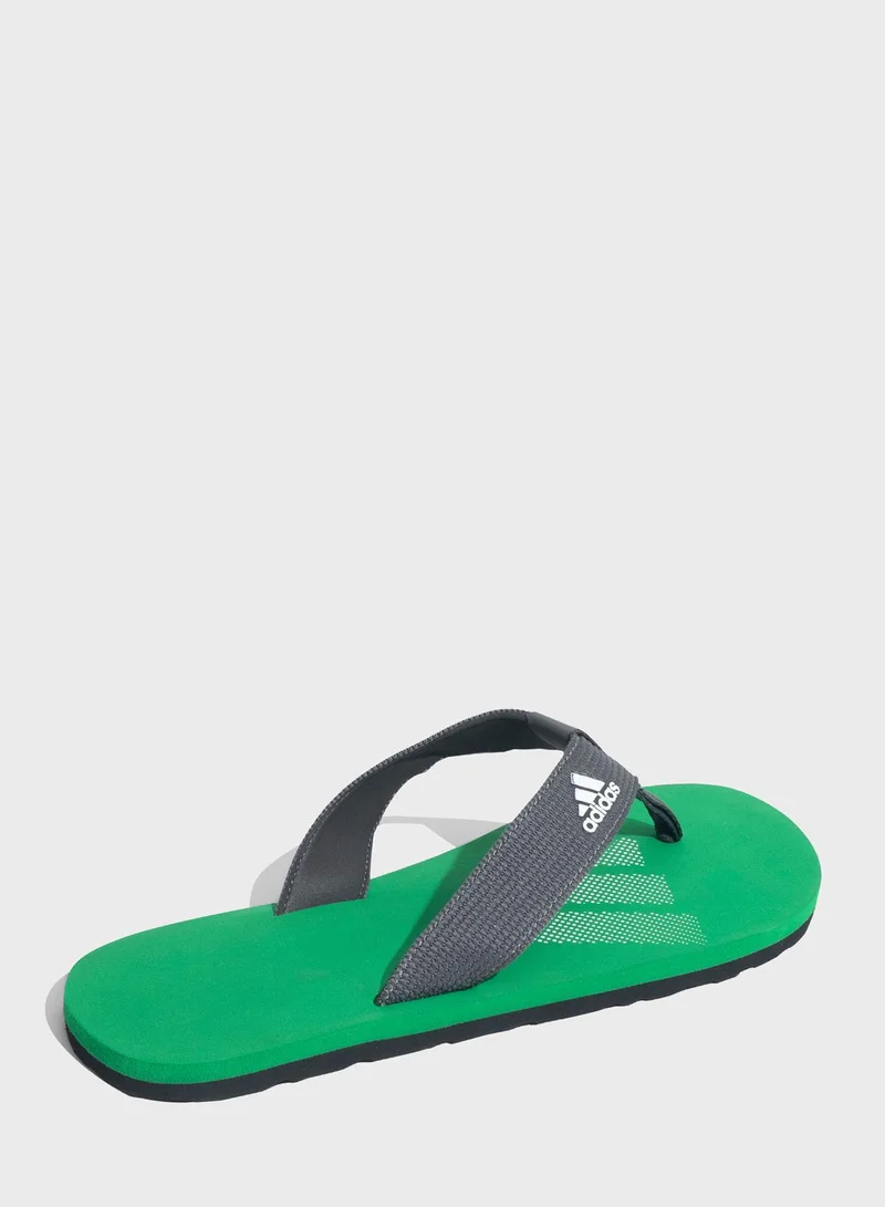 Adidas Zenith