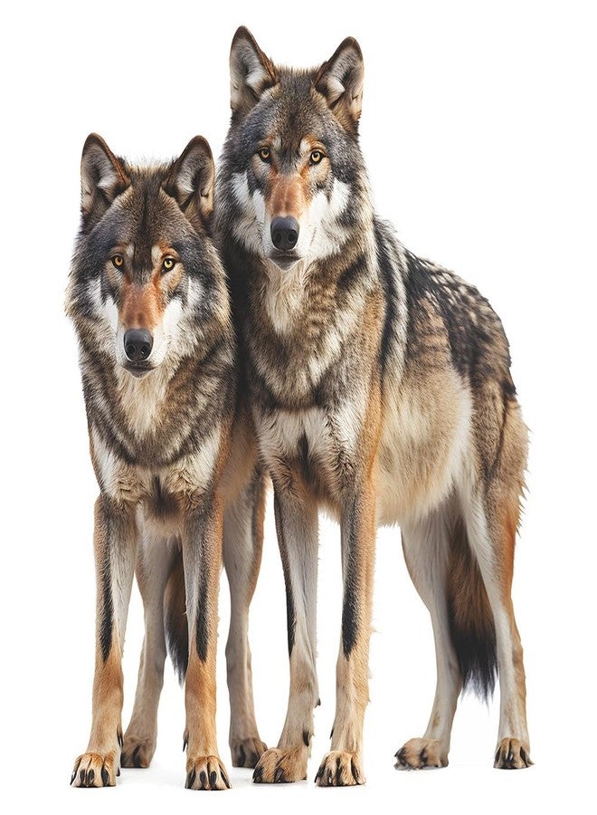 كيدال ملصق حائط على شكل ذئب واقعي يشبه الحياة، ملصق حائط للحيوانات البرية قابل للإزالة، ديكورات فنية جدارية ذاتية اللصق من الفينيل لغرفة المعيشة والأريكة وخلفية التلفزيون وديكورات المنزل (23.6 × 15.7 بوصة) - Image 1