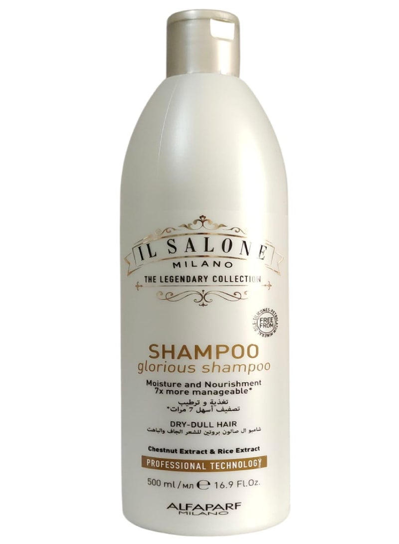 IL SALONE Protein Complete Care Shampoo + Conditioner Set 2X500 ml  - Image 4