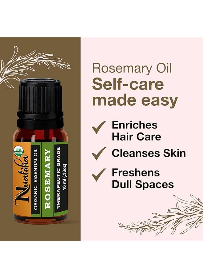 erorex Organic Rosemary Oil For Hair Growth Skin Body Aromatherapy And Massage 100 Percent Pure Natural Therapeutic Grade Essential Oil 10 Ml - Image 4