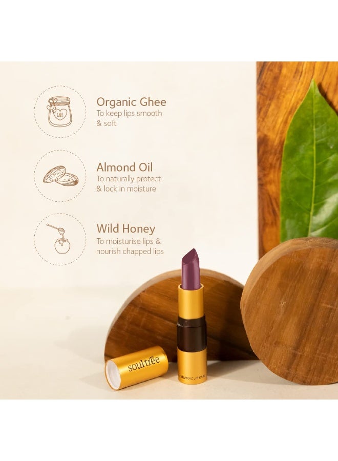 سول تري أحمر شفاه SoulTree Ayurvedic - درجة Glistening Loam 511، سعة 4 غرام | قوام كريمي | غني بالسمن العضوي وزيت اللوز | لشفاه مرطبة ومغذّاة | 4 غرام - Image 2
