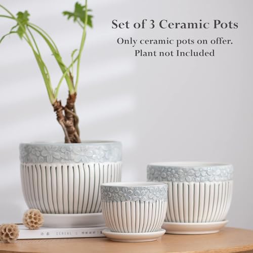 GardenZeek Set of 3 Ceramic Flower Pots with Saucer, Textured Planter for Indoor Plants, Cute Garden Pots Succulent Pots - Image 2