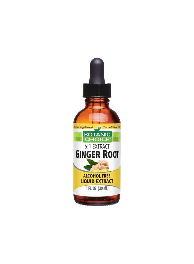 Botanic Choice Liquid Extract, Ginger Root, 1 Fluid Ounce - Image 1
