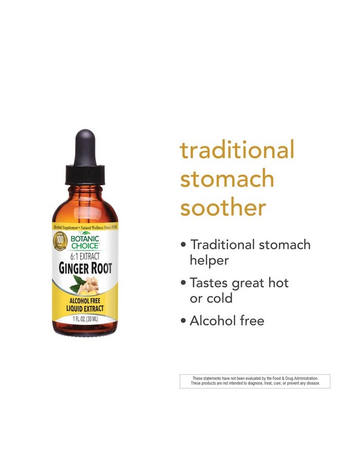 Botanic Choice Liquid Extract, Ginger Root, 1 Fluid Ounce - Image 4
