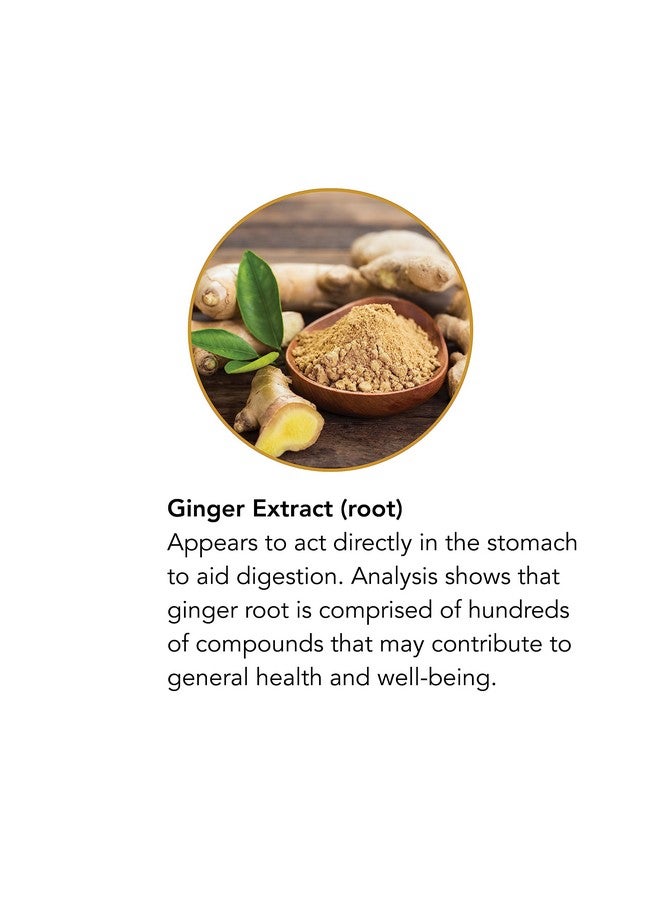 Botanic Choice Liquid Extract, Ginger Root, 1 Fluid Ounce - Image 3