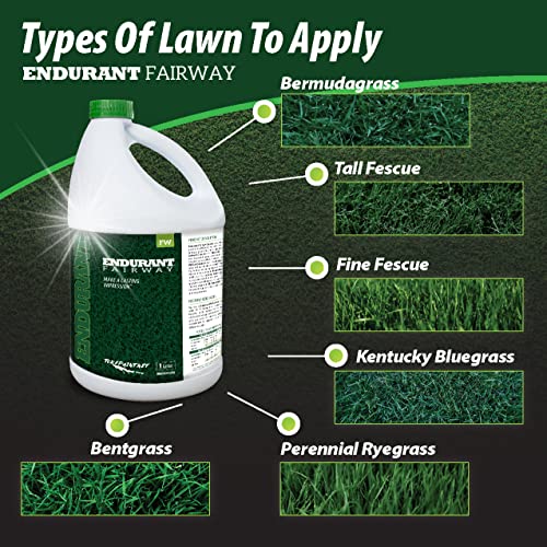 Endurant Turf Colorants - Fairway Spray On Green Grass Paint for Lawns - Revives Dry, Patchy Yards - Dark Grass Hue - Easy to Use, Concentrated Turf Grass Dye - Covers Approx 10,000 Sq Ft - 1 Gal - Image 3