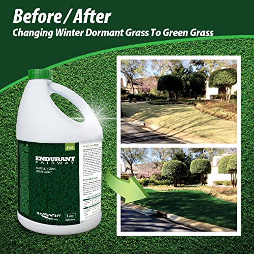 Endurant Turf Colorants - Fairway Spray On Green Grass Paint for Lawns - Revives Dry, Patchy Yards - Dark Grass Hue - Easy to Use, Concentrated Turf Grass Dye - Covers Approx 10,000 Sq Ft - 1 Gal - Image 2