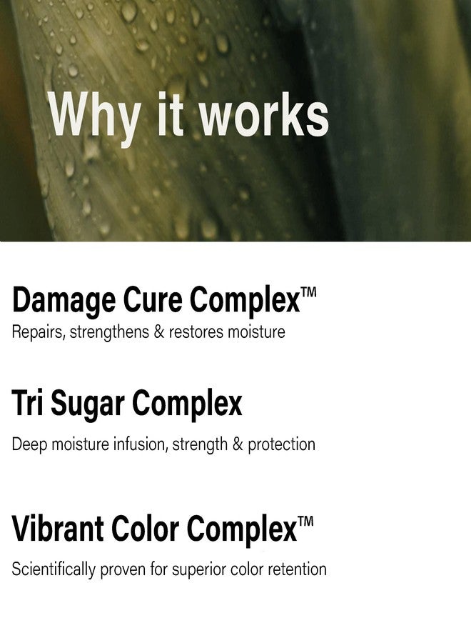 Eufora Beautifying Elixirs Moisture Intense Conditioner 36 Oz - Image 5