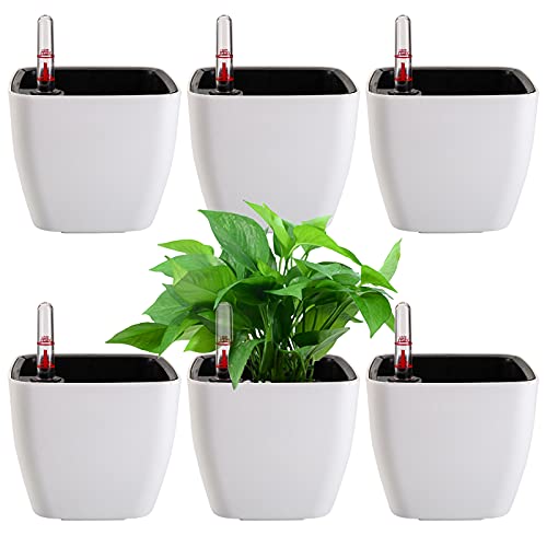Yarlung yarlung 6 Pack Self Watering Planter with Water Level Indicator 5 Inch Plastic Plant Flower Pots Nested Container for Indoor Plants Herbs Aloe Outdoor Gardening 