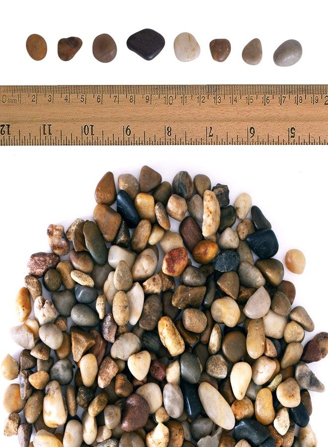 Galashield River Rocks Polished Pebbles Decorative Stones Natural Aquarium Gravel (2 lb Bag) - Image 3