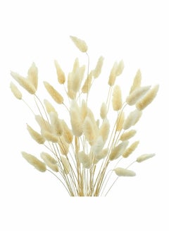 Beauenty Natural Bunny Tails Dried Flowers, 70 Pcs Dried Pampas Grass Decor for Farmhouse Flower Arrangements Wedding Home Boho Party Decorations(White)  - Image 1