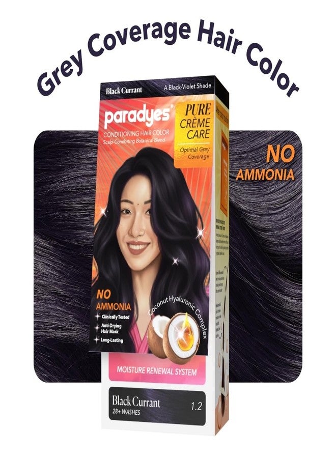 Paradyes Pure Crème Care No Ammonia Hair Color Black Currant 1.2 | Long-Lasting Crème Formula | Grey Coverage | Coconut Milk + Almond Oil + Hyaluronic Complex | Smooth & Shiny Finish | 60g + 10 ml - Image 2